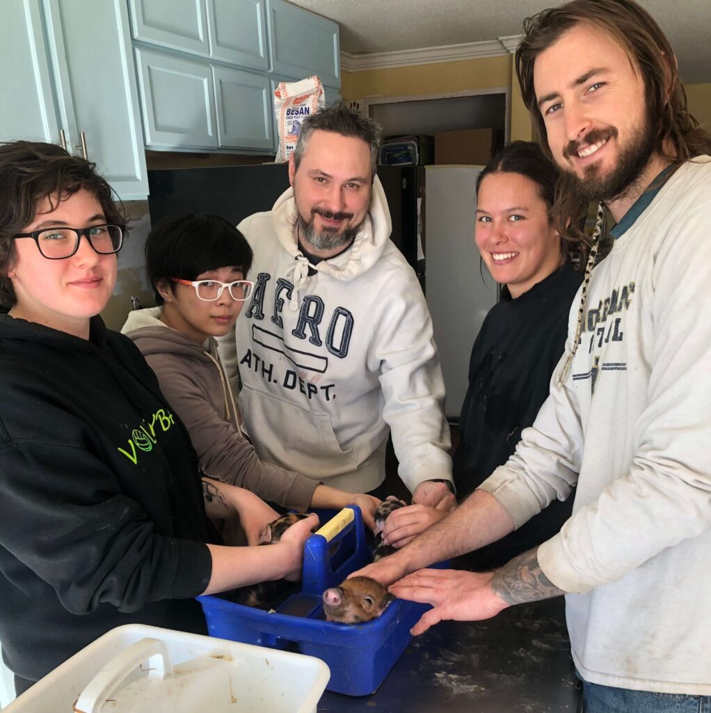 Piglet and volunteers