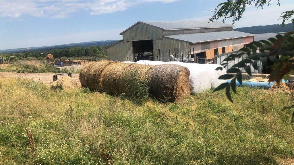 Barn and hay bales